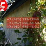 IMG-20191025-WA0037