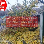 IMG-20191029-WA0263